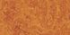 DLW LPX 132-073 gentle orange Lino Eco (Marmocor) 2.0 мм натуральный линолеум DLW LPX 132-073 фото 1