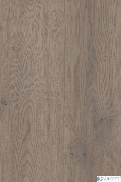Kaindl К2739 Oak Cremona Cannolo (Дуб Cremona Cannolo) 4V ламінат Kaindl К2739 фото