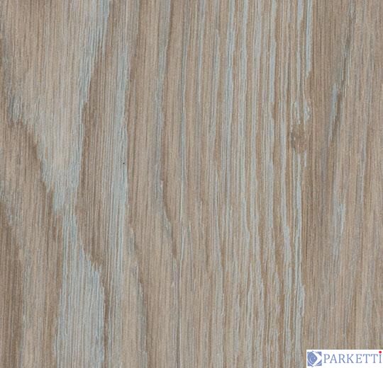 Forbo w60183 blue pastel oak виниловая плитка Allura Wood Forbo w60183 фото