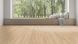 Kaindl K4423 Oak Evoke Crystal ламінат Kaindl К4423 фото 14