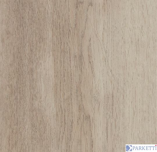 Forbo w60350 white autumn oak вінілова плитка Allura Wood Forbo w60350 фото