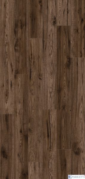 Kaindl 34029 Гікорі Веллі (Hickory Valley) 4V ламінат Premium Plank 34029 8 mm фото
