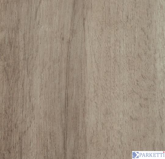 Forbo w60356 grey autumn oak вінілова плитка Allura Wood Forbo w60356 фото