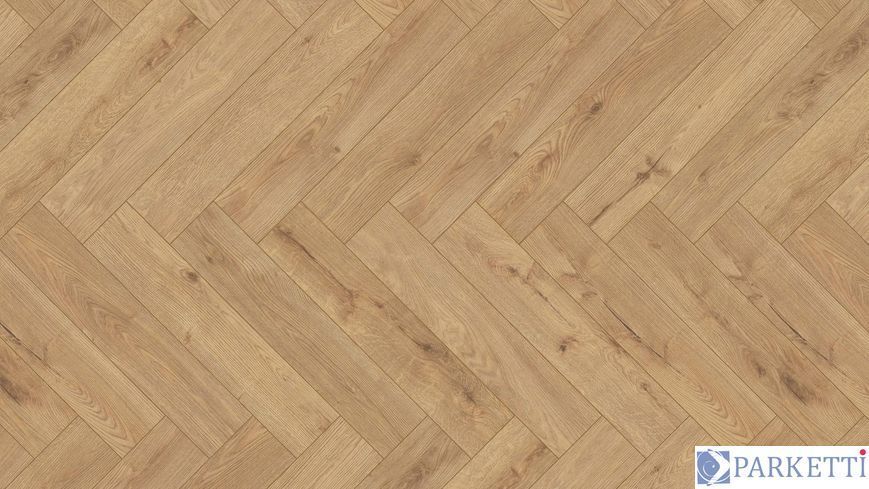 Kaindl 32675 Oak Edinburgh (Дуб Едінбург) 4V ламінат Kaindl Small Plank 32675 фото