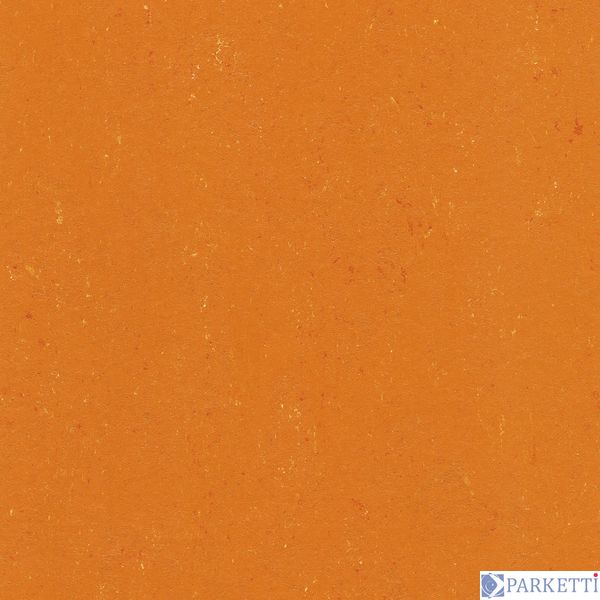 DLW PUR 137-170 kumquat orange Colorette 2.5 мм натуральний лінолеум DLW PUR 137-170 фото