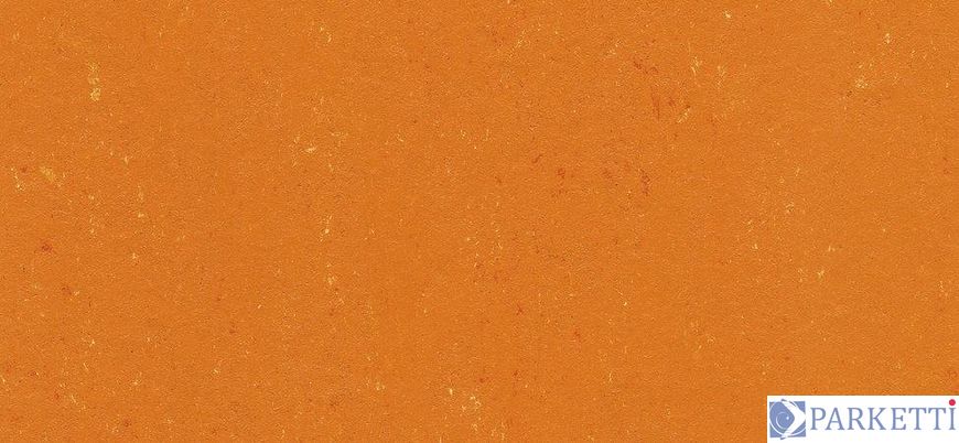 DLW PUR 137-170 kumquat orange Colorette 2.5 мм натуральный линолеум DLW PUR 137-170 фото