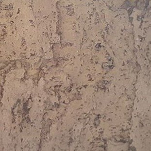 Wicanders Dekwall настінна клейова пробка TA22001 Stone Art Oyster Amorim Z601002 – A3 02 фото