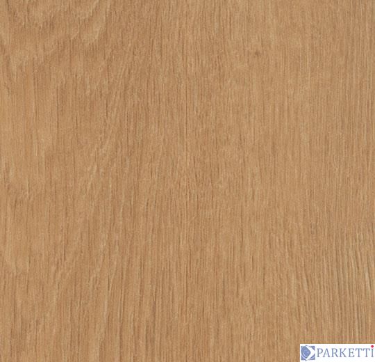 Forbo w60071 French oak вінілова плитка Allura Wood Forbo w60071 фото