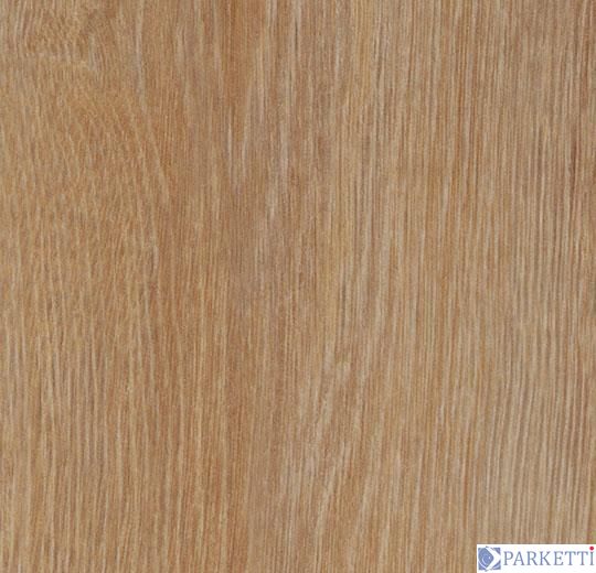 Forbo w60295 pure oak вінілова плитка Allura Wood Forbo w60295 фото