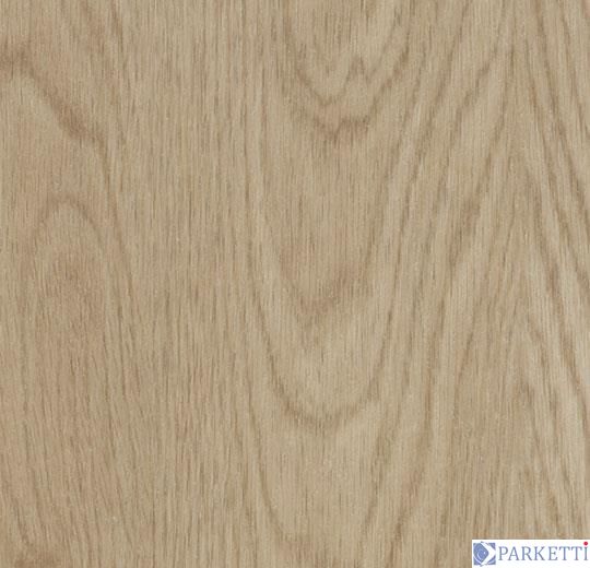 Forbo w60064 whitewash elegant oak вінілова плитка Allura Wood Forbo w60064 фото