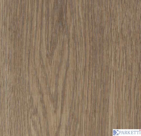Forbo w60374 natural collage oak вінілова плитка Allura Wood Forbo w60374 фото