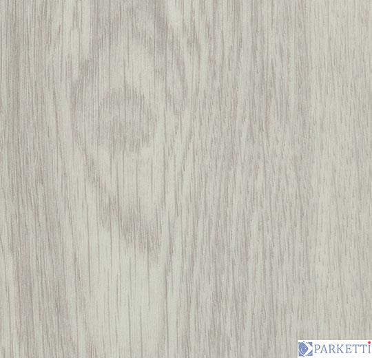Forbo w60286 white giant oak вінілова плитка Allura Wood Forbo w60286 фото