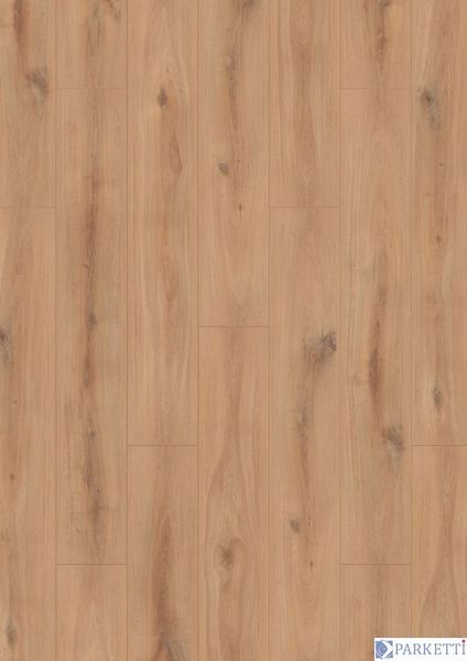 Krono Original Organic Classic K230 Golden Vista Oak Organic Classic K230 фото