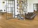 Parador 1748904 Trendtime 4 V4 Дуб Lugana natural Рустик, брашированная текстура, натуральное масло, паркетная доска Parador 1748904 фото 15