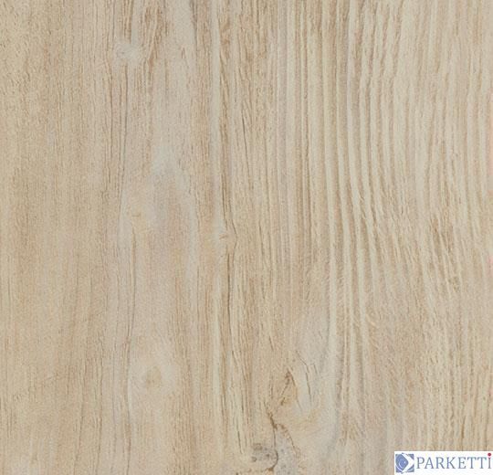 Forbo w60084 bleached rustic pine виниловая плитка Allura Wood Forbo w60084 фото