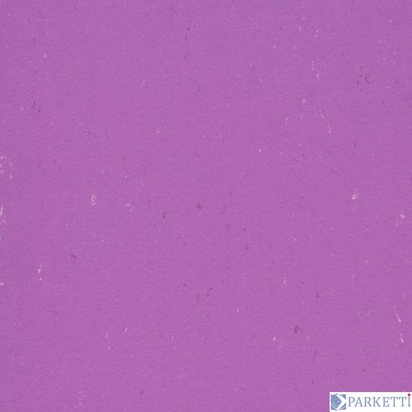 DLW PUR 137-110 pink cadillac Colorette 2.5 мм натуральний лінолеум DLW PUR 137-110 фото