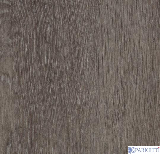 Forbo w60375 grey collage oak виниловая плитка Allura Wood Forbo w60375 фото
