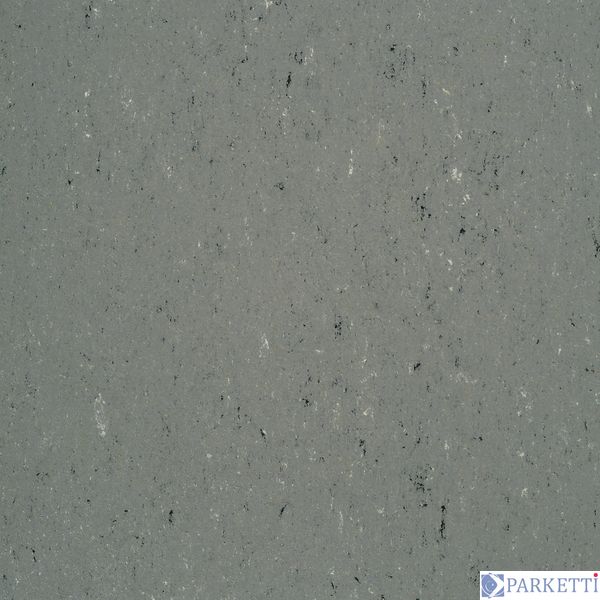 DLW PUR 137-059 stone grey Colorette 2.5 мм натуральний лінолеум DLW PUR 137-059 фото