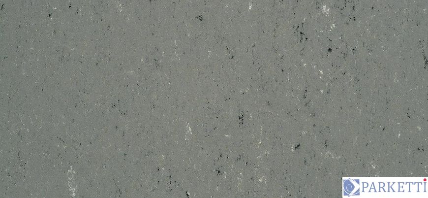 DLW PUR 137-059 stone grey Colorette 2.5 мм натуральный линолеум DLW PUR 137-059 фото