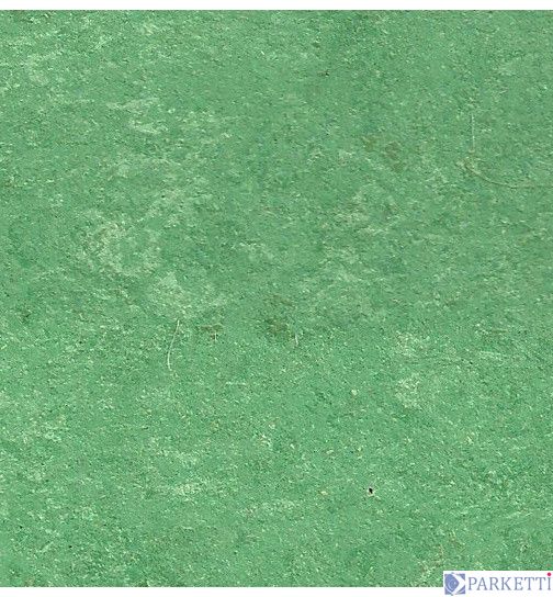 DLW LPX 132-032 cactus green Lino Eco (Marmocor) 2.5 мм натуральний лінолеум DLW LPX 132-032 фото