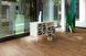 Parador 1739957 Trendtime 8 V4 Дуб Класик Tree plank 1-пол, масло Natur Plus, паркетна дошка Parador 1739957 фото 28