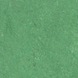 DLW LPX 132-032 cactus green Lino Eco (Marmocor) 2.5 мм натуральний лінолеум DLW LPX 132-032 фото 1