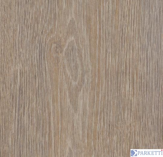 Forbo w60293 оброблена oak вінілова плитка Allura Wood Forbo w60293 фото