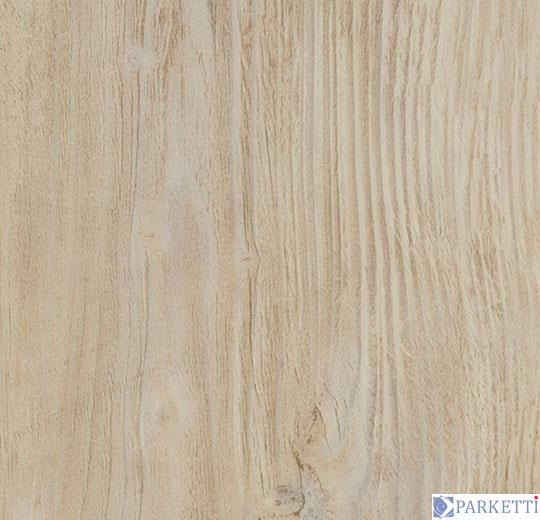 Forbo w60084 bleached rustic pine вінілова плитка Allura Wood Forbo w60084 фото