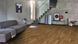Parador 1744429 Trendtime 8 V4 Дуб Классик Multiplank 1-пол, Natur Plus, паркетная доска Parador 1744429 фото 24