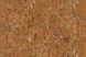 Wicanders 81000000 (RY19001) Fiord White, настінна клейова пробка Amorim Wise Deckwall Wicanders RY19001 фото 2