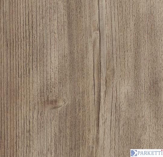 Forbo w60085 weathered rustic pine виниловая плитка Allura Wood Forbo w60085 фото