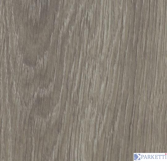 Forbo w60280 grey giant oak вінілова плитка Allura Wood Forbo w60280 фото